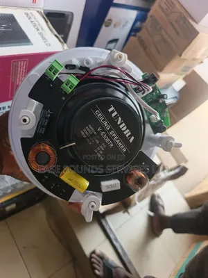 Bluetooth Ceiling Speaker (Master)