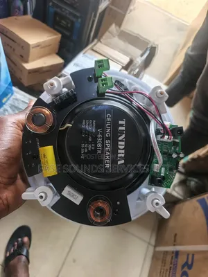 Bluetooth Ceiling Speaker (Master)