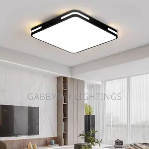 Ceiling Fitting Light