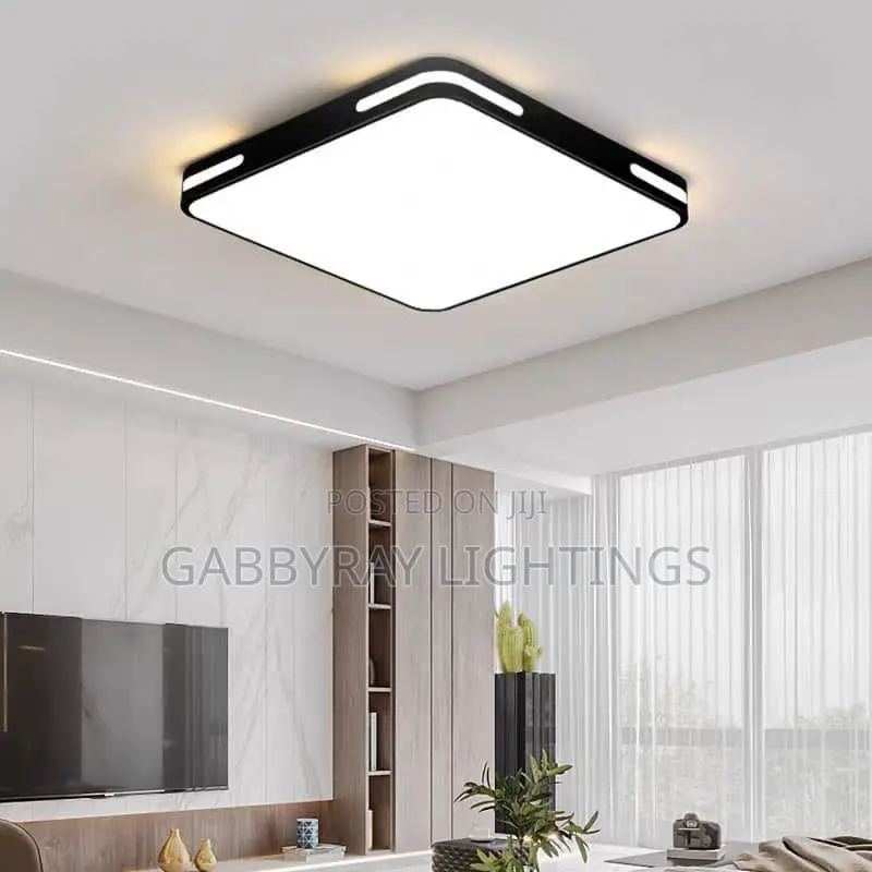 Ceiling Fitting Light