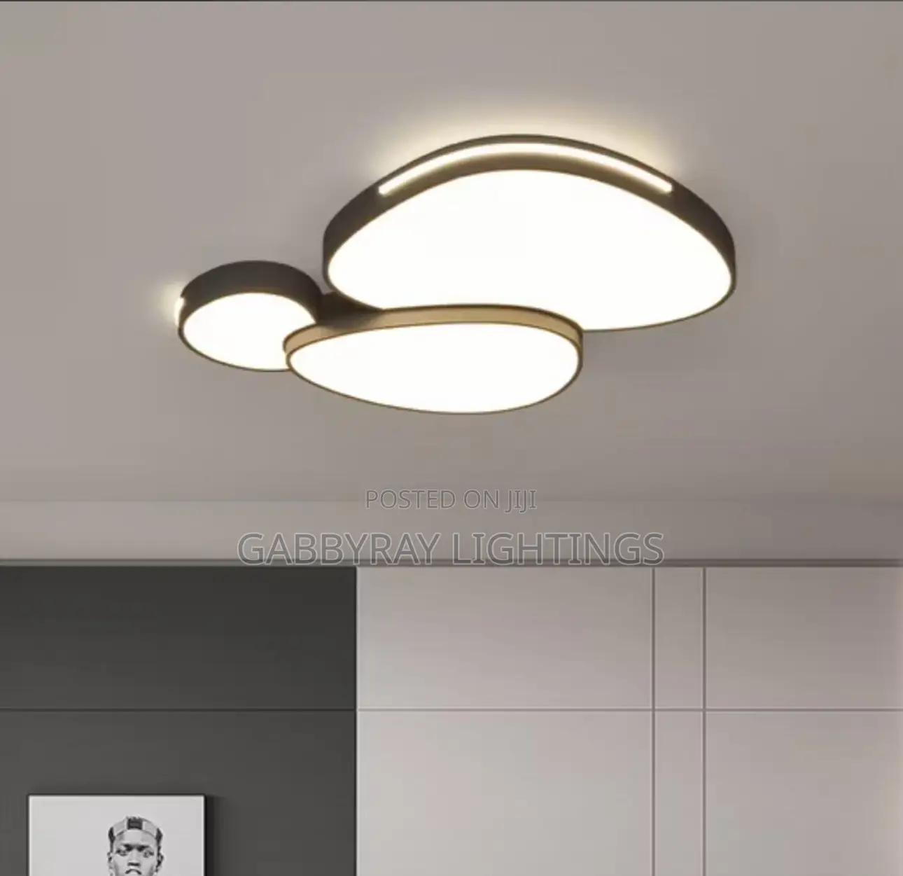 Modern Ceiling Fitting