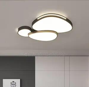 Modern Ceiling Fitting