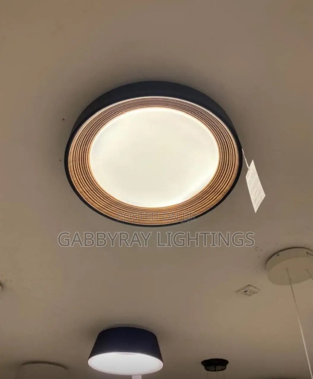Luxury Ceiling Light