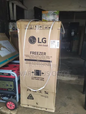 Original LG Standing Freezer