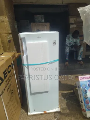 Original LG Standing Freezer