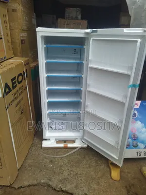 Original LG Standing Freezer