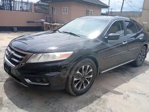 Honda Crosstour 2010 Brown