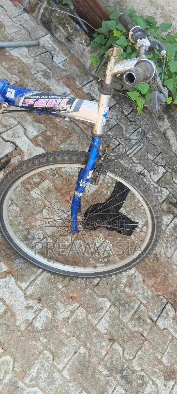 Used Bicycle