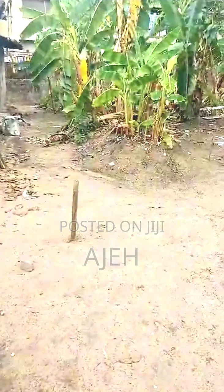 A Plot At Azuoba