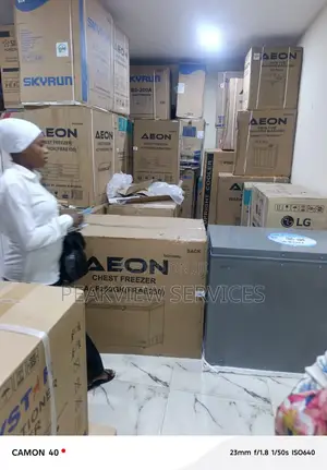 Aeon 250 Litres Chest Freezer Cold Storage Unit