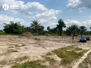 Lands and Property