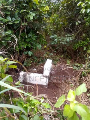 3.5 Plots of Dry Land at Mgbirichi, Umuokanne Road