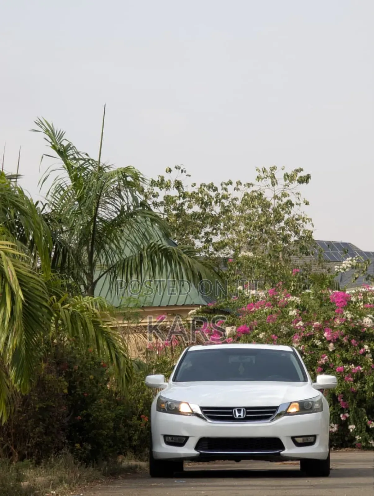 Honda Accord 2014 White