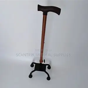 Lightweight Adjustable 4-Foot Walking Stick
