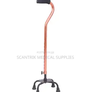 Durable Classic 4-Foot Walking Stick