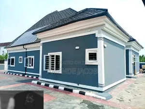 A Professional Painter