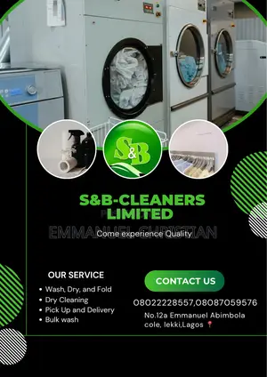 Professional Ironer, Laundry Front Office Worker, Cleaners, Driver