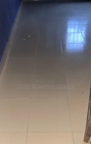 Reggy Cleaning Service