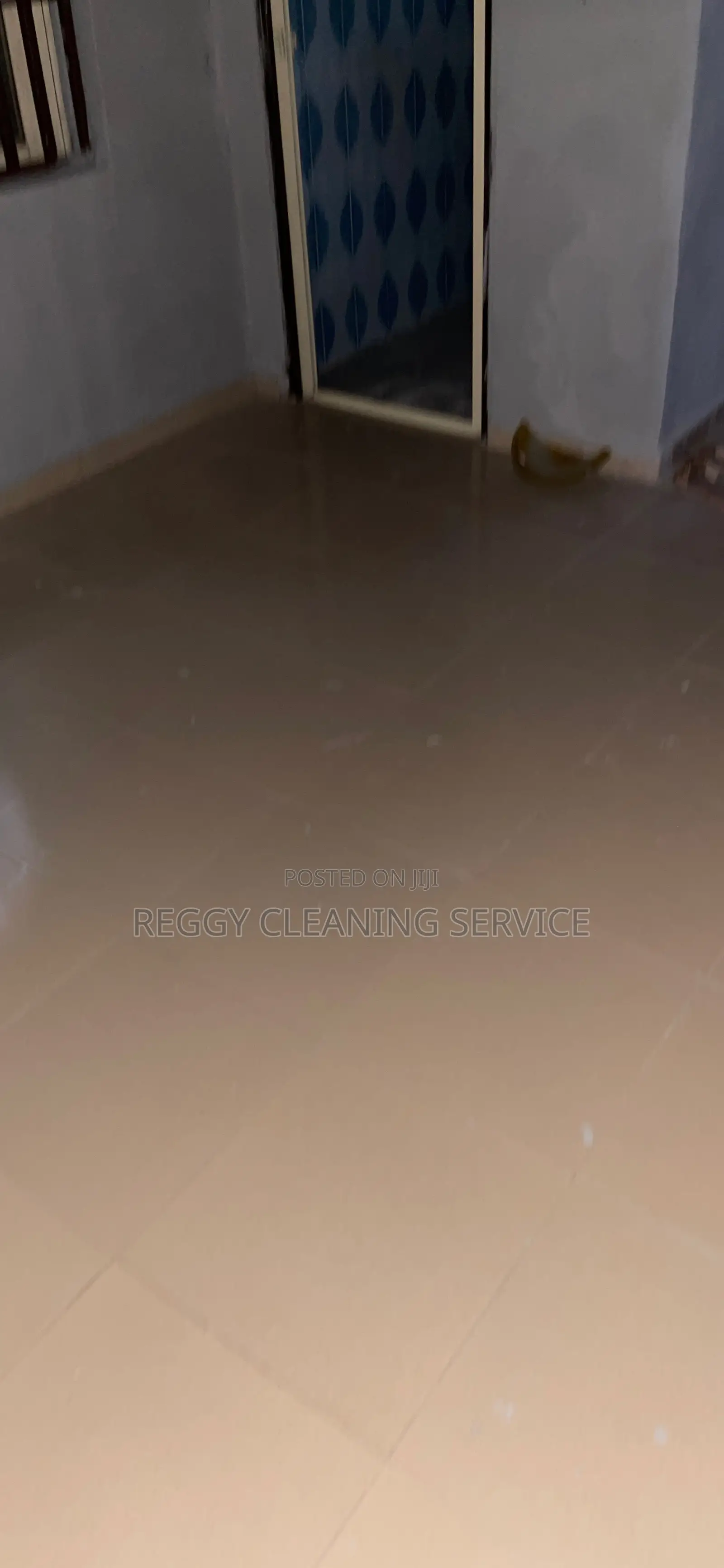 Reggy Cleaning Service