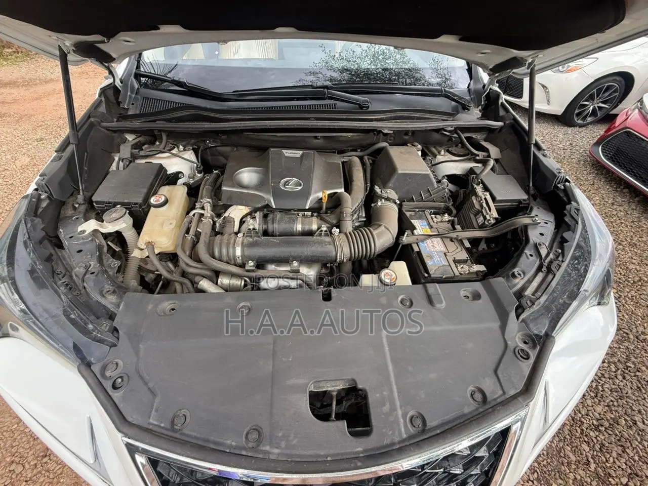 Lexus NX 300 AWD 2020 White