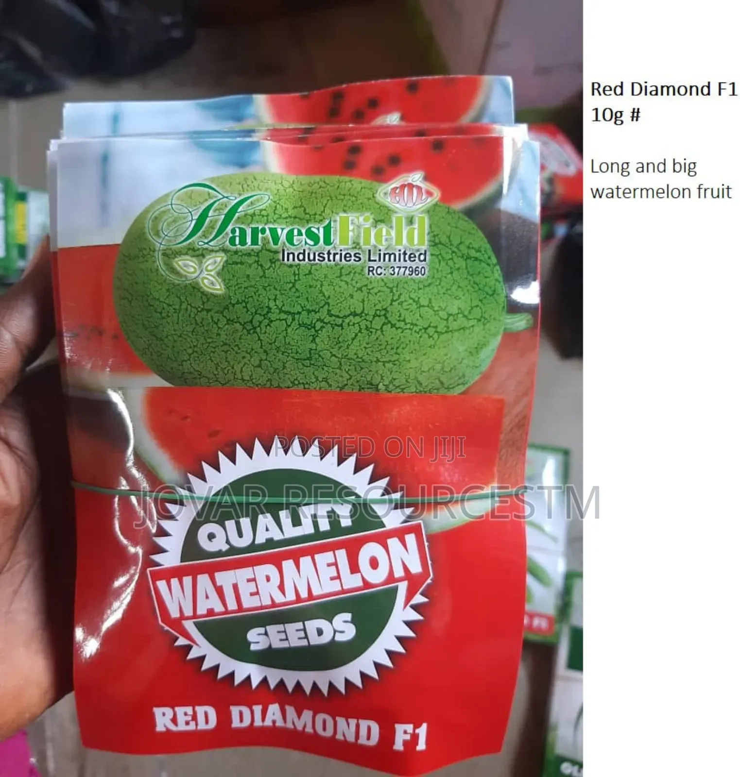 Best Watermelon Seeds