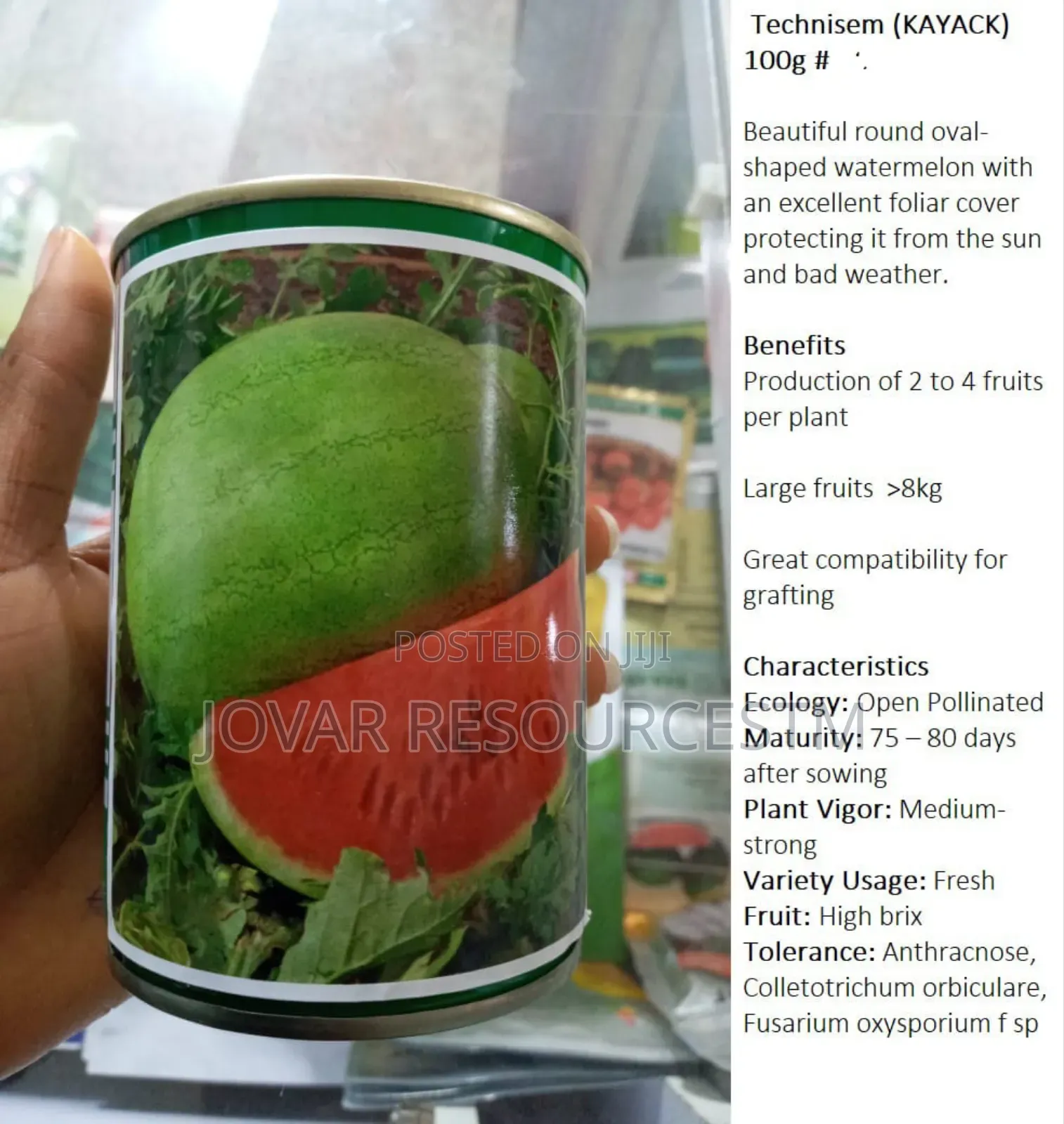 Best Watermelon Seeds
