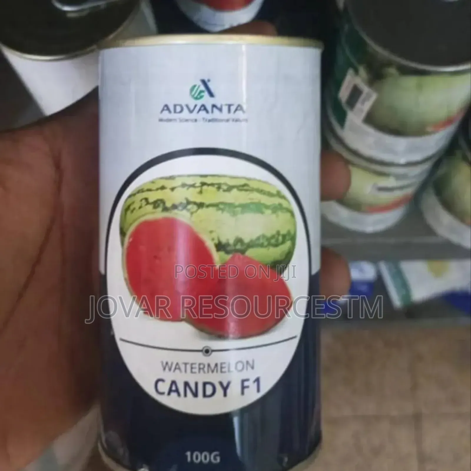 Best Watermelon Seeds
