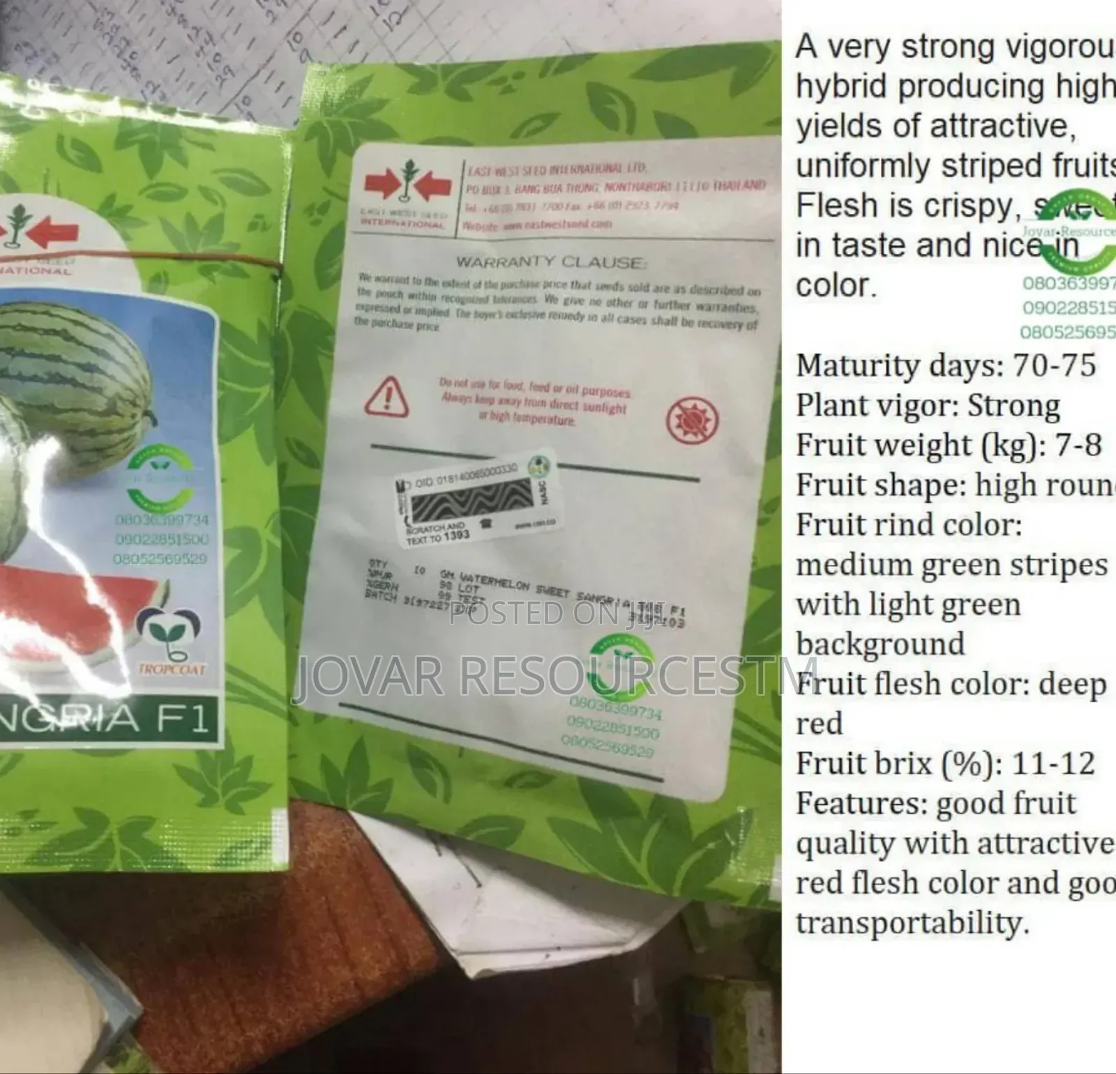 Best Watermelon Seeds