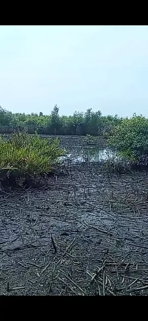 Ikorodu Land for Sale