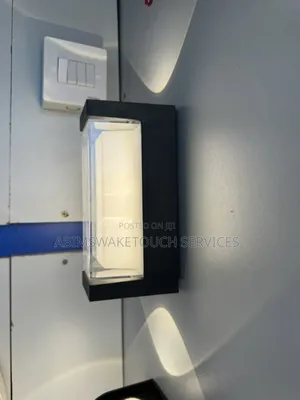 Professional Electrician