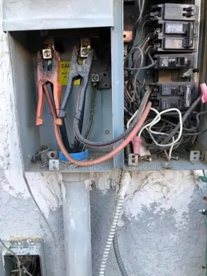 Professional Electrician
