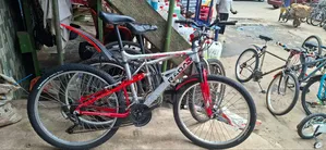 Bicycles of All Ages and Sizes