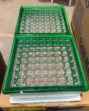 Glass Block 20x20 Wall, White, Blue, Green Colors.