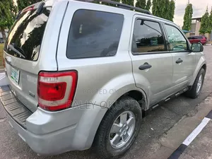 Ford Escape Limited 2010 Silver