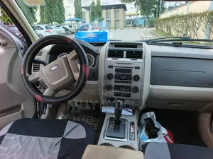 Ford Escape Limited 2010 Silver