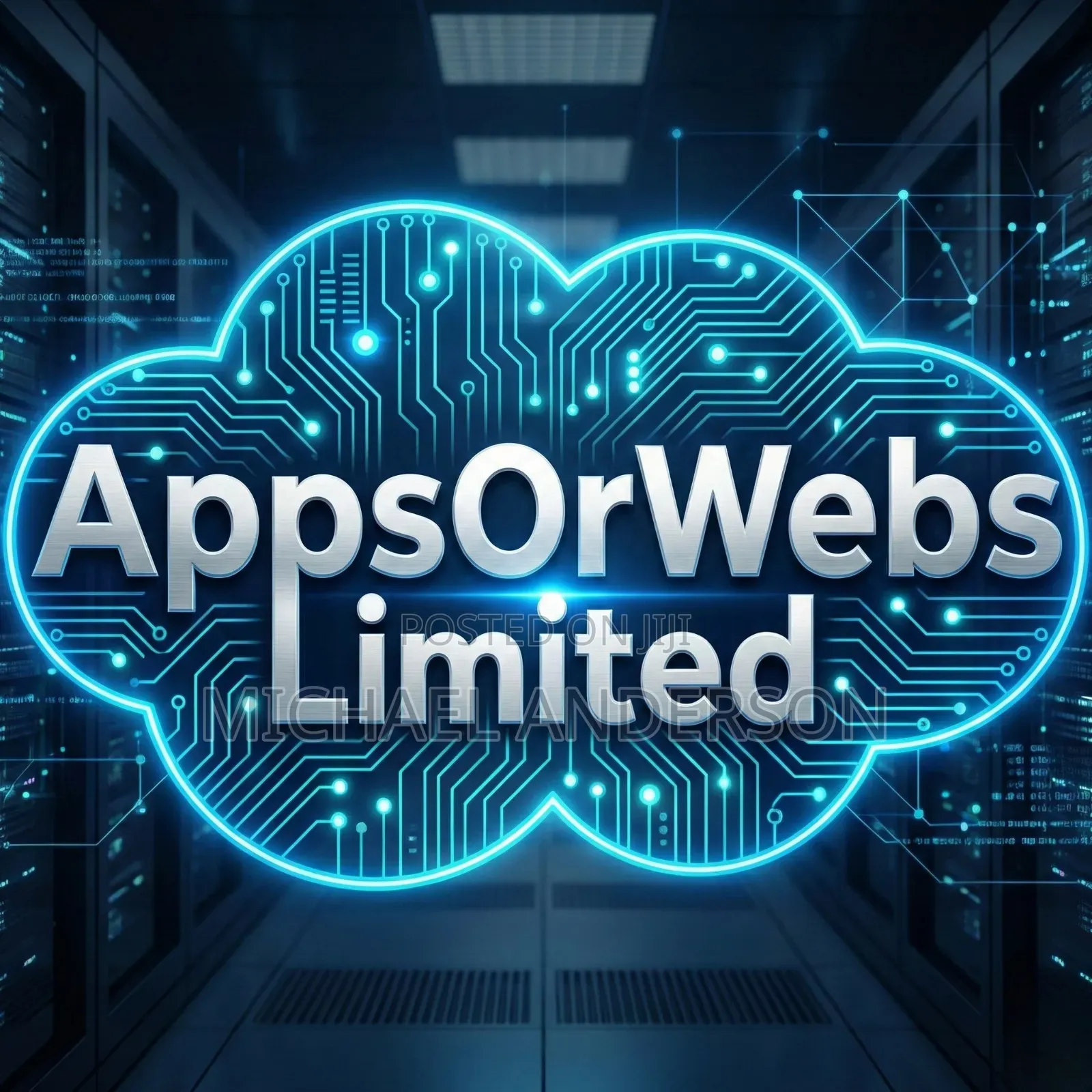 Ai Engineer, App Developer Web Developer