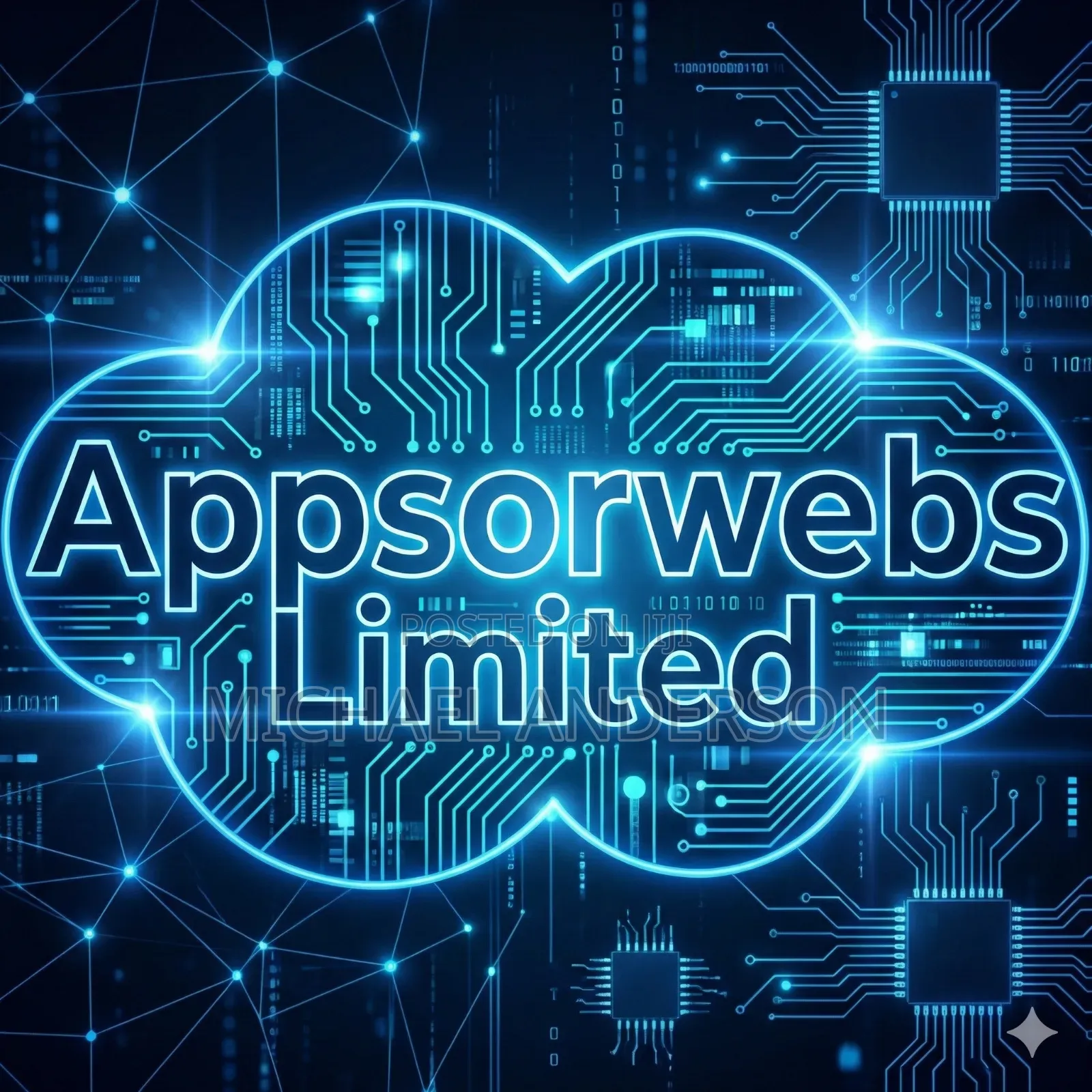 Ai Engineer, App Developer Web Developer