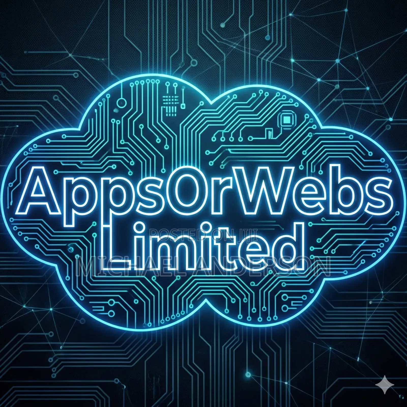 Ai Engineer, App Developer Web Developer