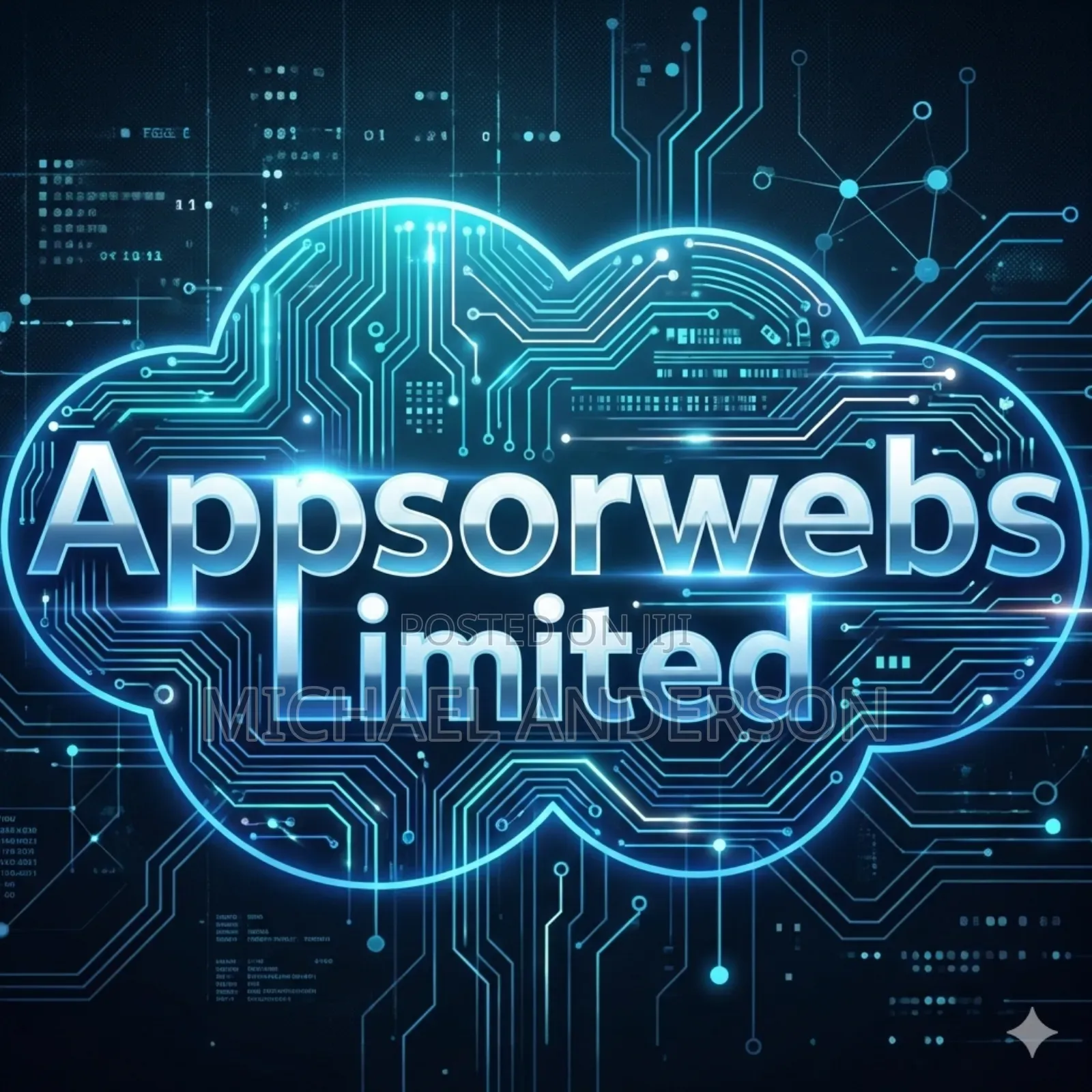 Ai Engineer, App Developer Web Developer