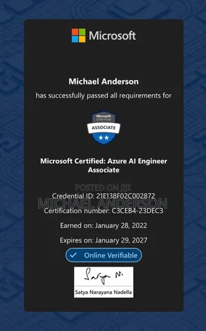 Ai Engineer, App Developer Web Developer