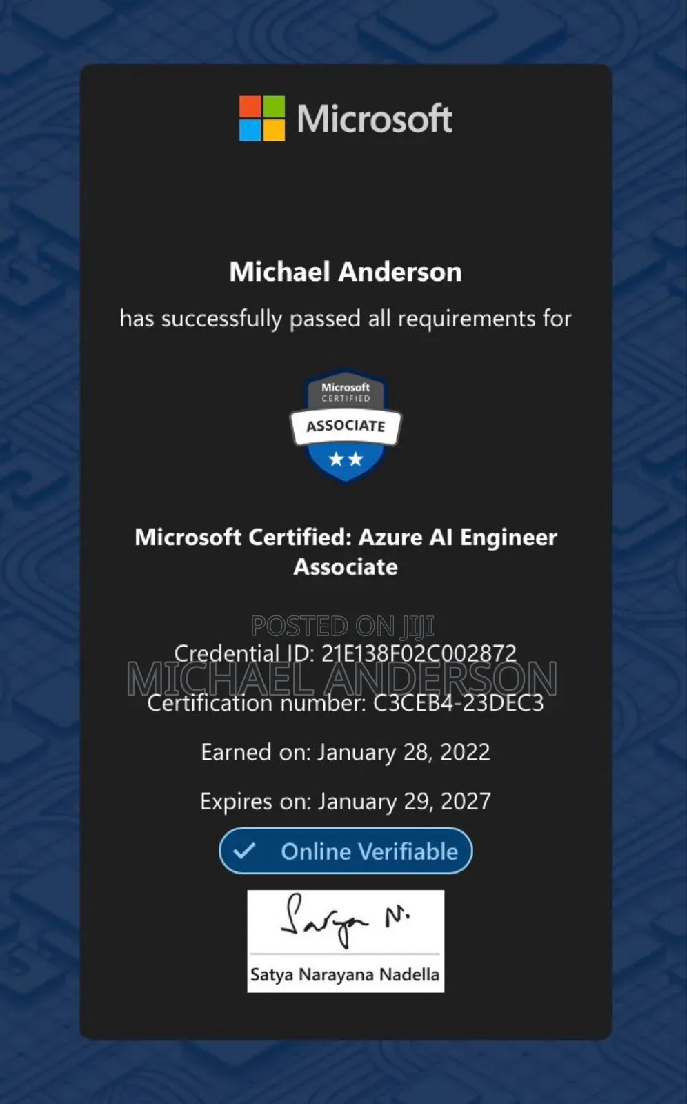 Ai Engineer, App Developer Web Developer