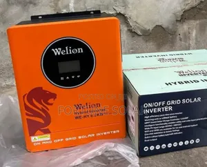 Welion Hybrid Inverter 4.2kva 24v Wall Mount With Digital Display