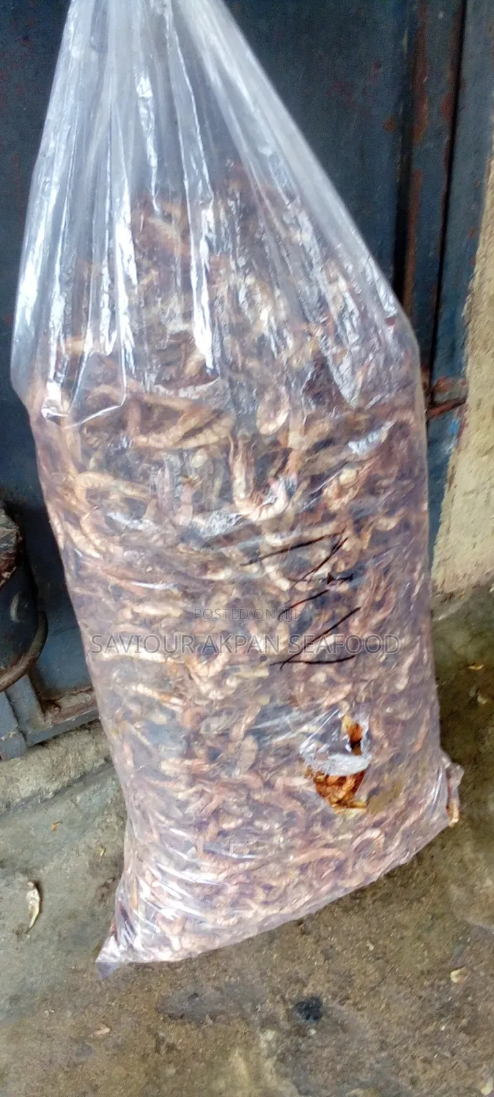 Oron Crayfish