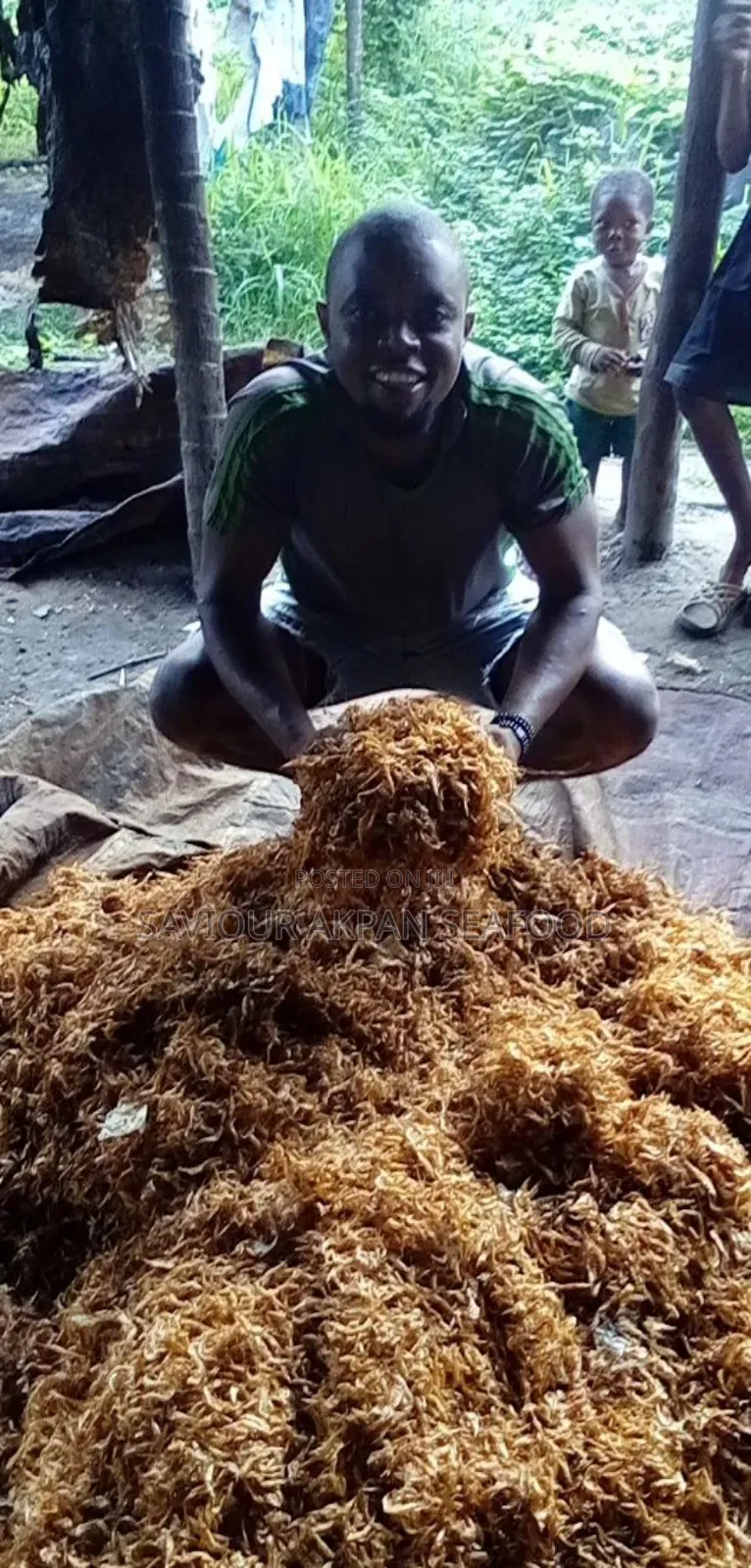 Oron Crayfish
