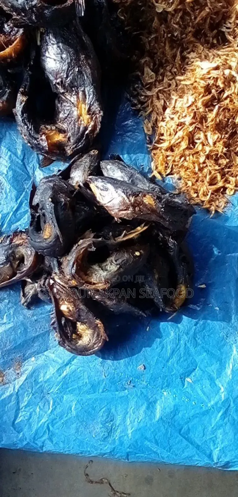 Oron Crayfish