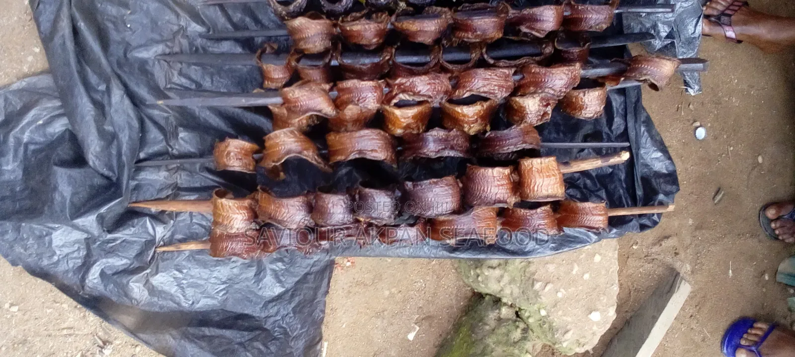 Oron Crayfish