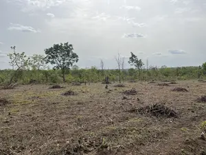 Fertile Agricultural Farmland at Iwajowa Lga Iwere-Ile 100 Acres Above
