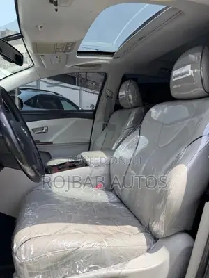 Toyota Venza V6 2010 Silver