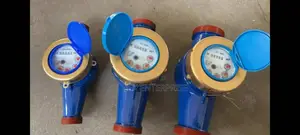 1" Water Meter