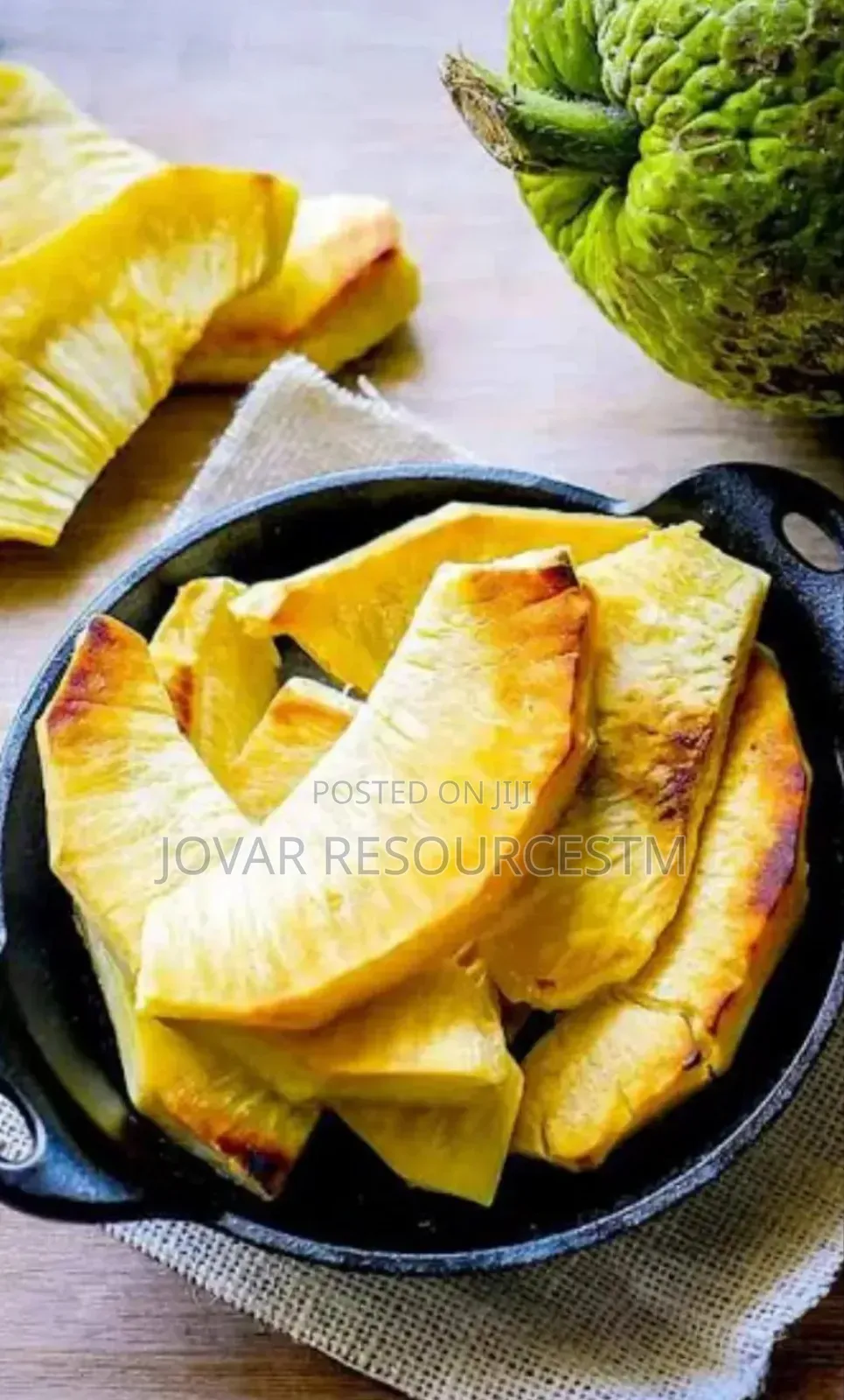 Best Breadfruit/ Bread Nut Yam Type, Jackfruit Ukwa Seedling